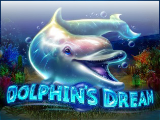 Dolphins Dream